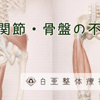 茨城県日立市の白亜整体療術院による「股関節・骨盤の不調」解説図解。筋肉の仕組みと原因について。