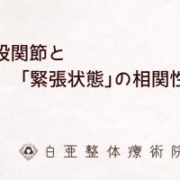 日立市の白亜整体療術院|股関節の不調と緊張状態の相関性についての解説画像