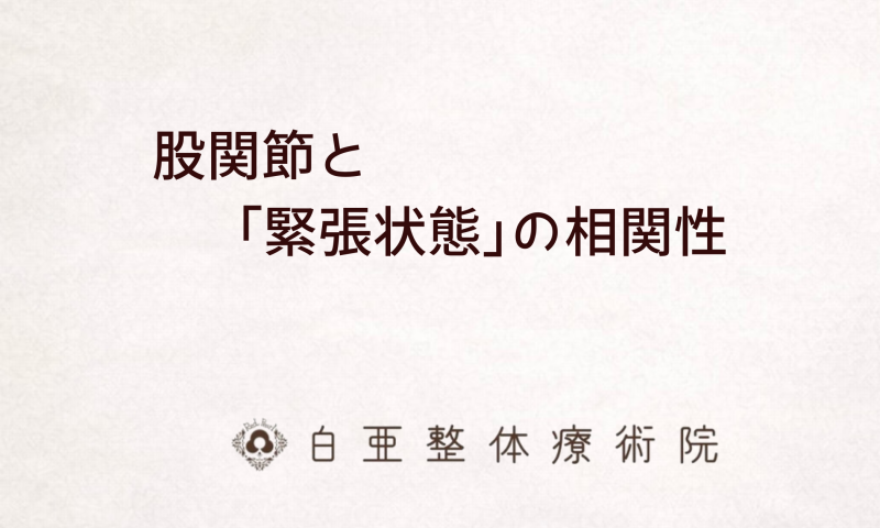 日立市の白亜整体療術院｜股関節の不調と緊張状態の相関性についての解説画像