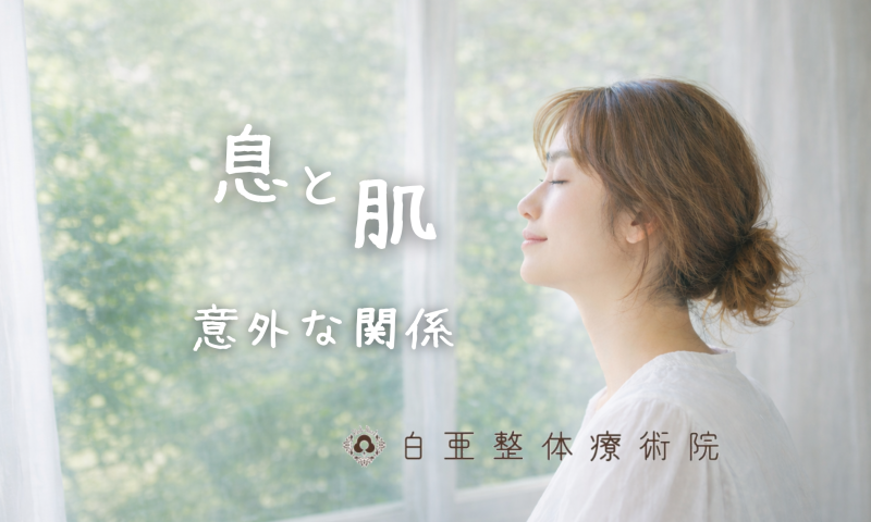 日立市の白亜整体療術院｜東洋医学の視点から呼吸と肌のつながりを解説。肺の働きと皮膚の関係性を伝え、全身を整える大切さを案内する画像。
