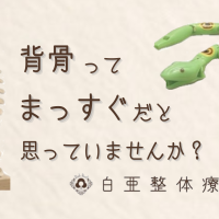 日立市で腰痛や身体の違和感に悩む方へ向けた、背骨の構造を解説するアイキャッチ画像。柔らかな光の中に、背骨の模型と、関節がつながりしなやかに動く緑色の蛇のおもちゃが並んでいます。中央には「子供の頃にあった へびのおもちゃに少し似ています。」という言葉と、白亜整体療術院のロゴが配置されており、身体の本来の動きを取り戻す大切さを表現しています。